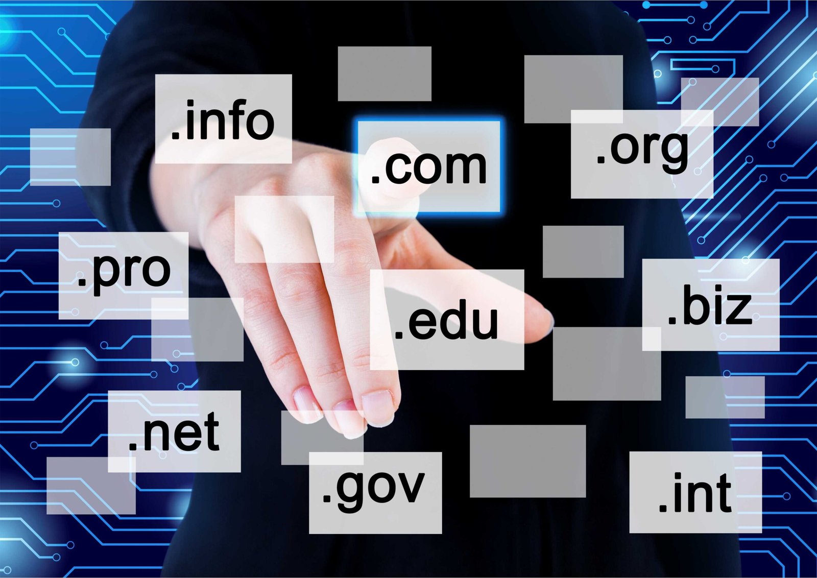 Tips Memilih Domain untuk Website